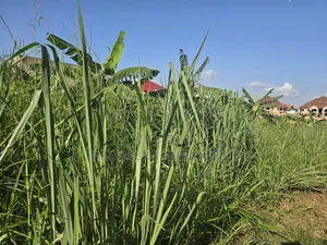A Land at Kokoben for Sale