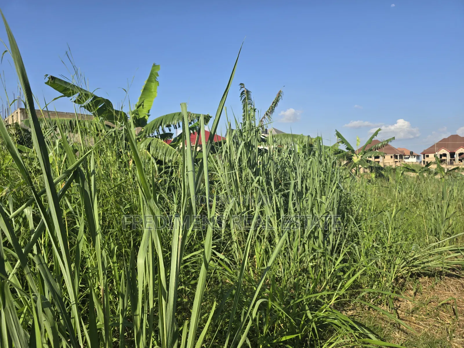 A Land at Kokoben for Sale