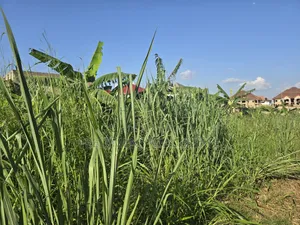A Land at Kokoben for Sale