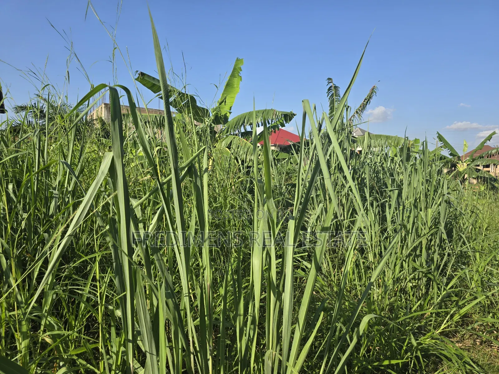 A Land at Kokoben for Sale
