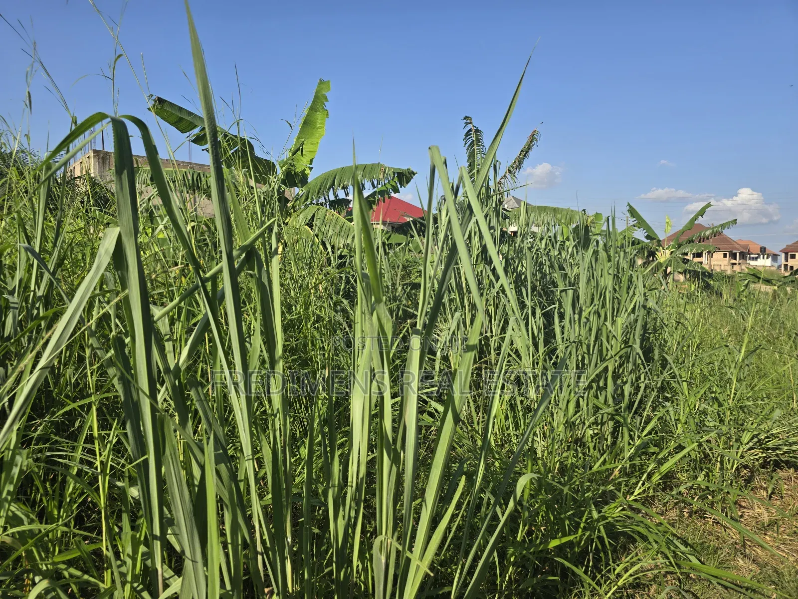 A Land at Kokoben for Sale