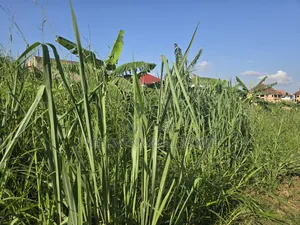 A Land at Kokoben for Sale