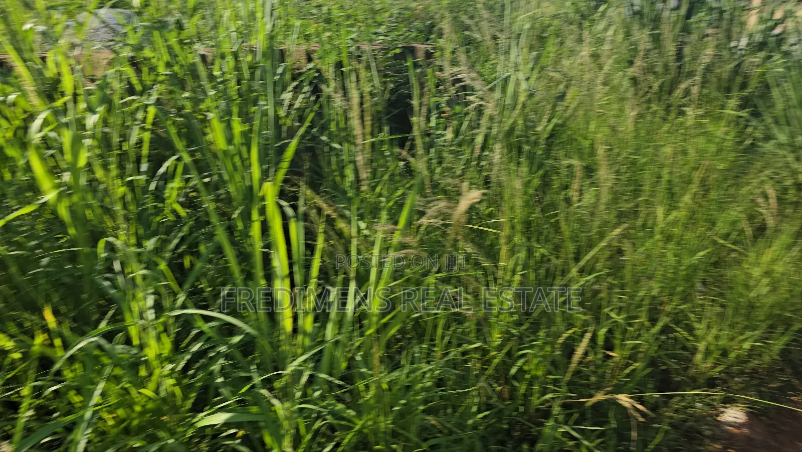 A Land at Kokoben for Sale