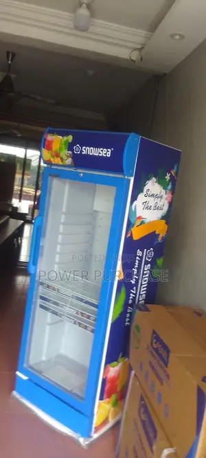 Acceptable Snowsea Chilling 208l Refrigerator
