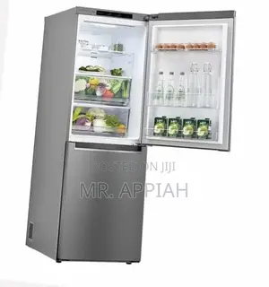 Quality LG GC-B399NLJM 355L Bottom Freezer Fridge(Silver).