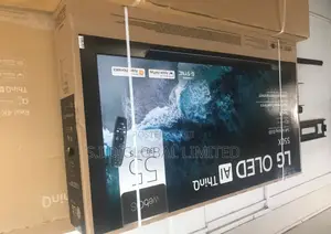 Not Your Regular LG 55" OLED TV