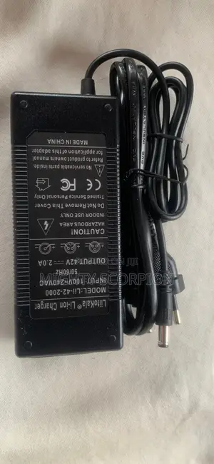 Hoverboard Charger AND SCOOTER Charger