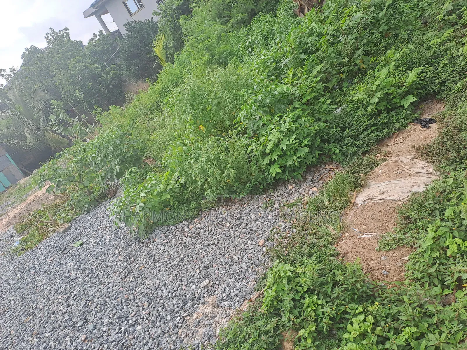 Land Forsale -Tesano
