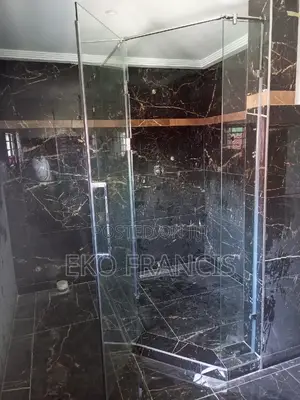 Shower Enclosure Glass C