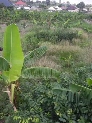 One and Half Icre Plot at Faade for Sale
