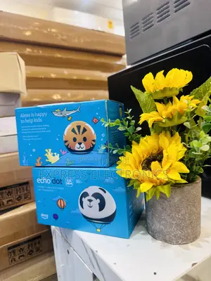 Unique Design Echo Dot Kids