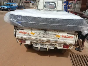 Classic 60x80 Queen's Mattress FRM Canada .Free Delivry
