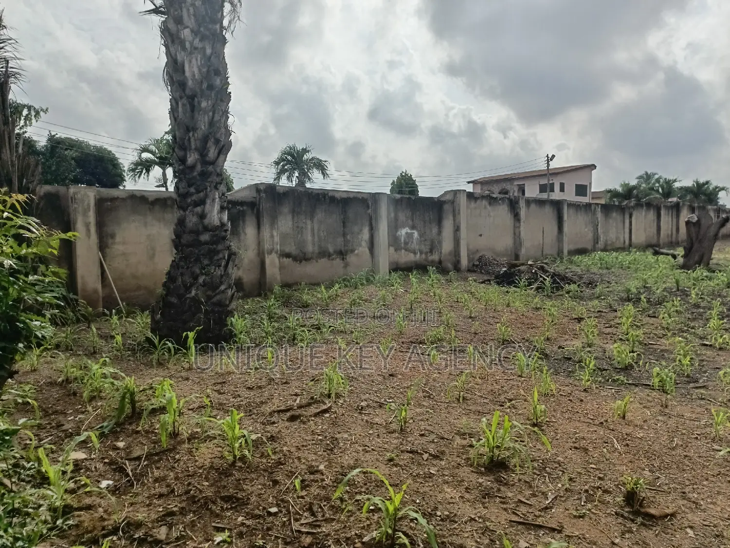 1 Plot at East Legon Hills for Sale