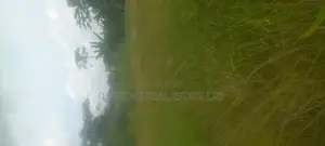 Plots of Residential Land in Kasoa Near Papase, ( in Town)