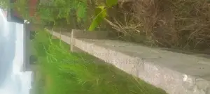Plots of Residential Land in Kasoa Near Papase, ( in Town)