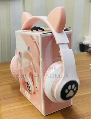 STN Cat Headset
