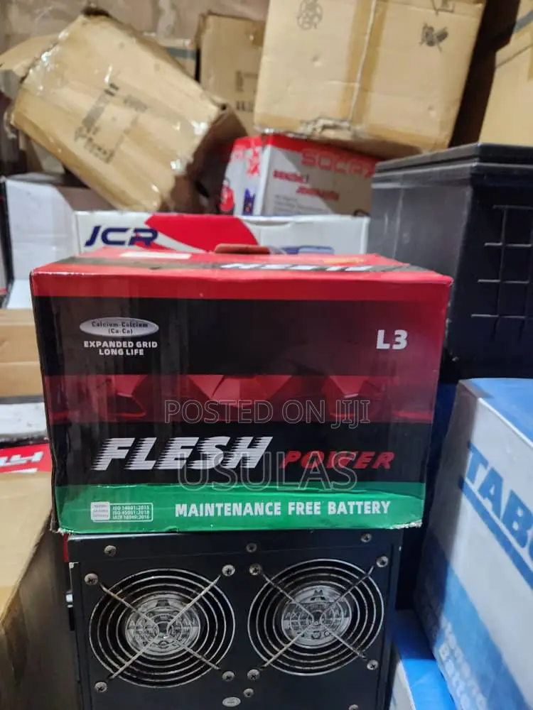 European Standard Battery for Sale