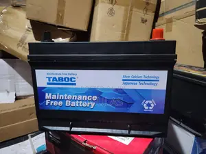 European Standard Battery for Sale