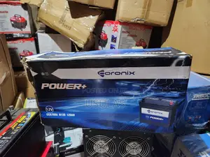 European Standard Battery for Sale
