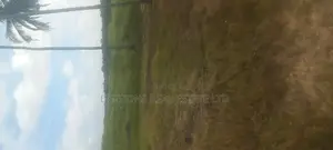 Sea View( 4plots) Land in Kasoa Near Whitesand Beach