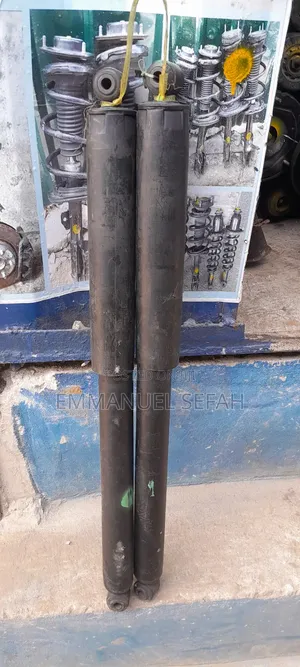 Ford F-150 Back Shock Absorber
