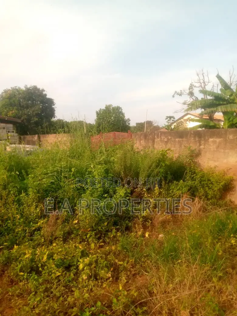 One Line From Roadside Land for Sale at Valley View