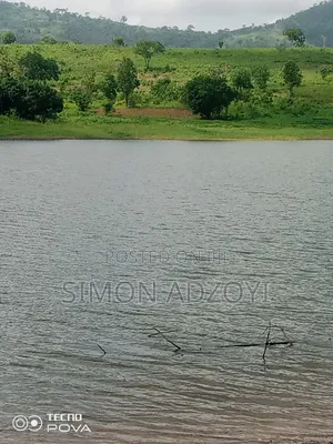 20 Acres of Farm Land for Sale