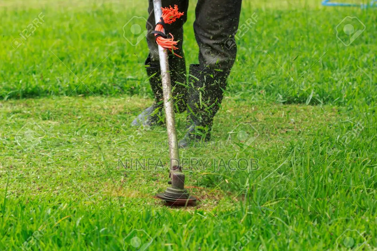 Gardening and Landscaping