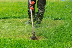 Gardening and Landscaping