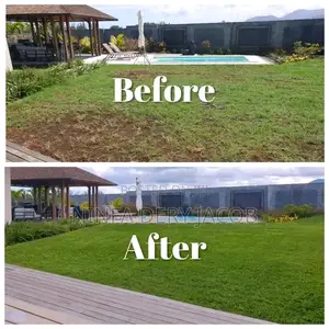 Gardening and Landscaping
