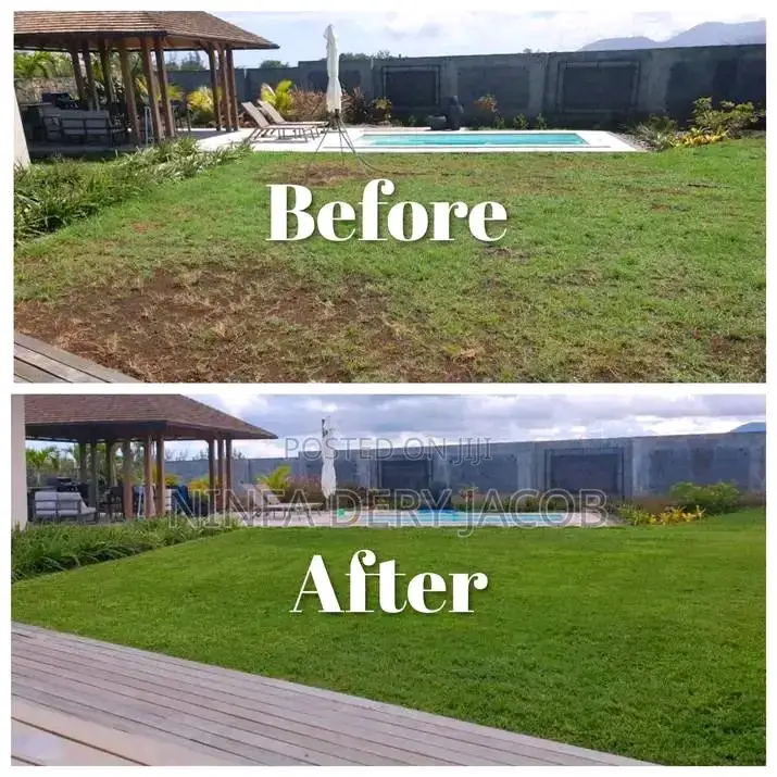 Gardening and Landscaping