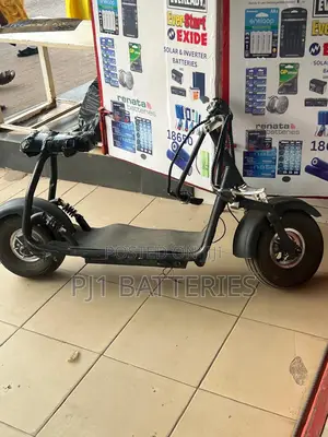 Electric Bike Batteries Replacement