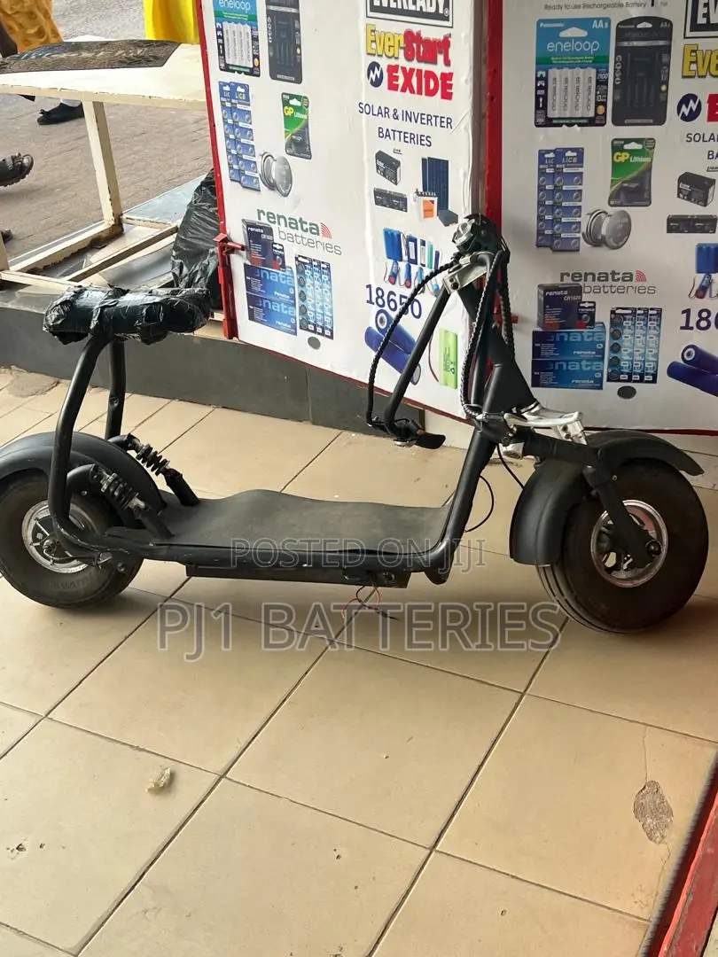 Electric Bike Batteries Replacement