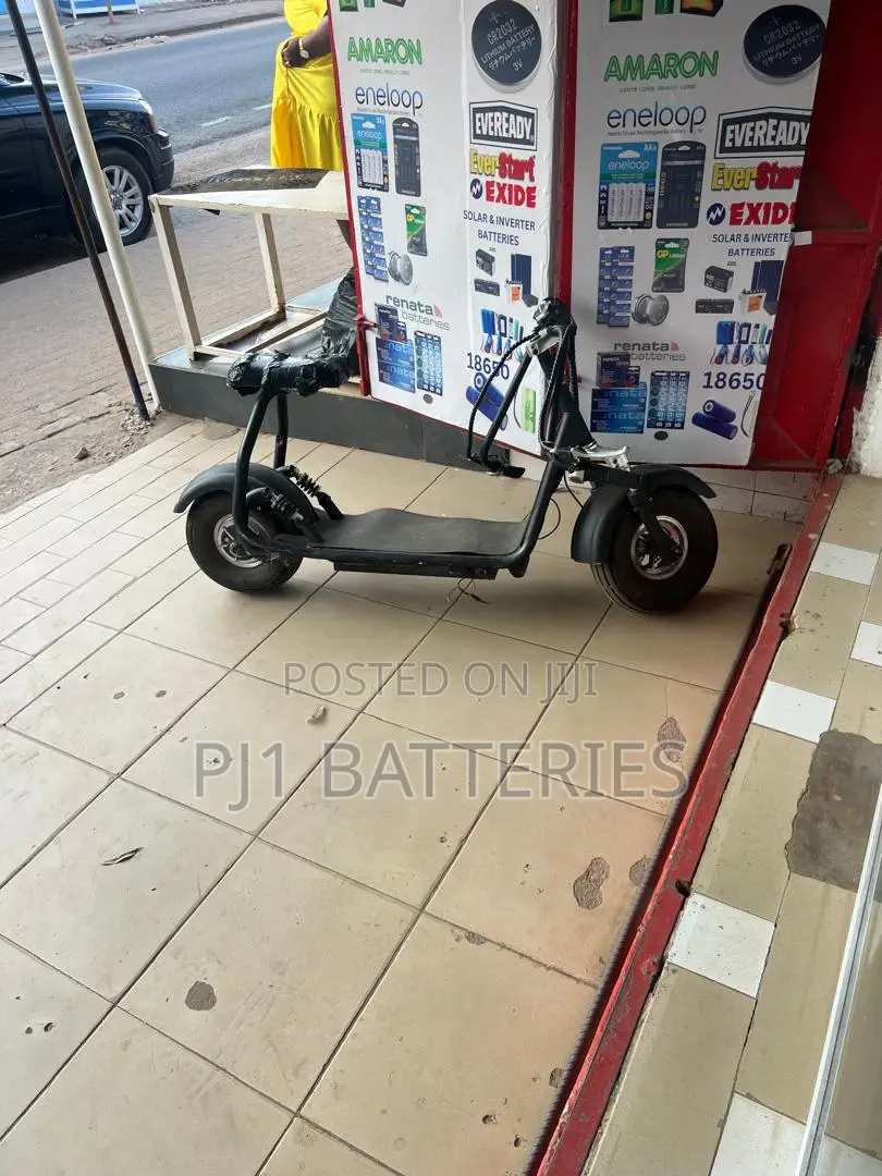 Electric Bike Batteries Replacement