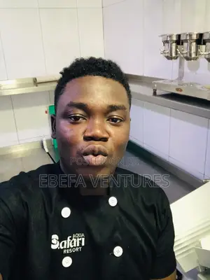 Theophilus Chef Cv