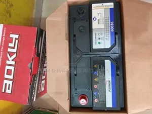 100ah 19 Plates Platinum Car Battery - Volvo Vw BMW Benz