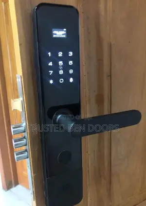 Paladin Smart Locks (Fingerprint/Swipe Card/Passcode/Keys)