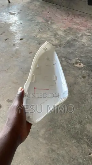 Hyundai Elantra 2016 Side Mirror Cover
