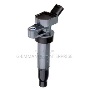 Hyundai Santa Fe 2013-15 Ignition Coil. Original.