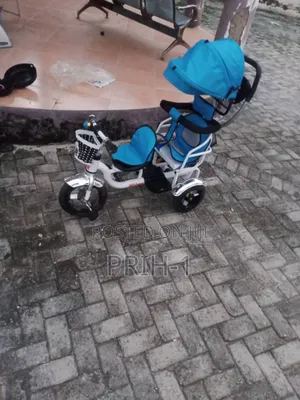 Kids Two in One Tricycle With Cover