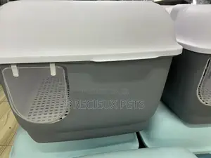 Cats and Kittens Liter Box