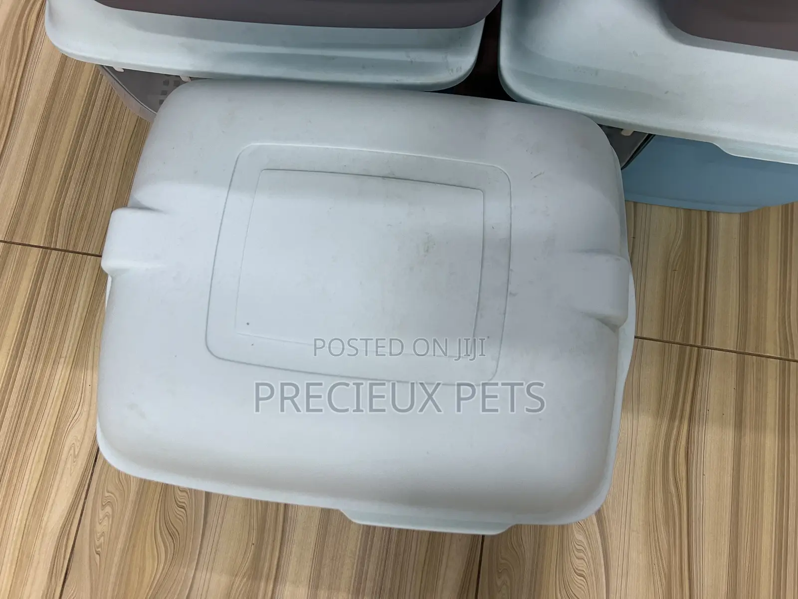 Cats and Kittens Liter Box