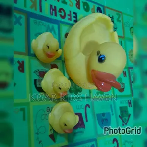 Duck Toy for Kids 0+