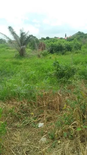5000 Acres of Land at Asutuare