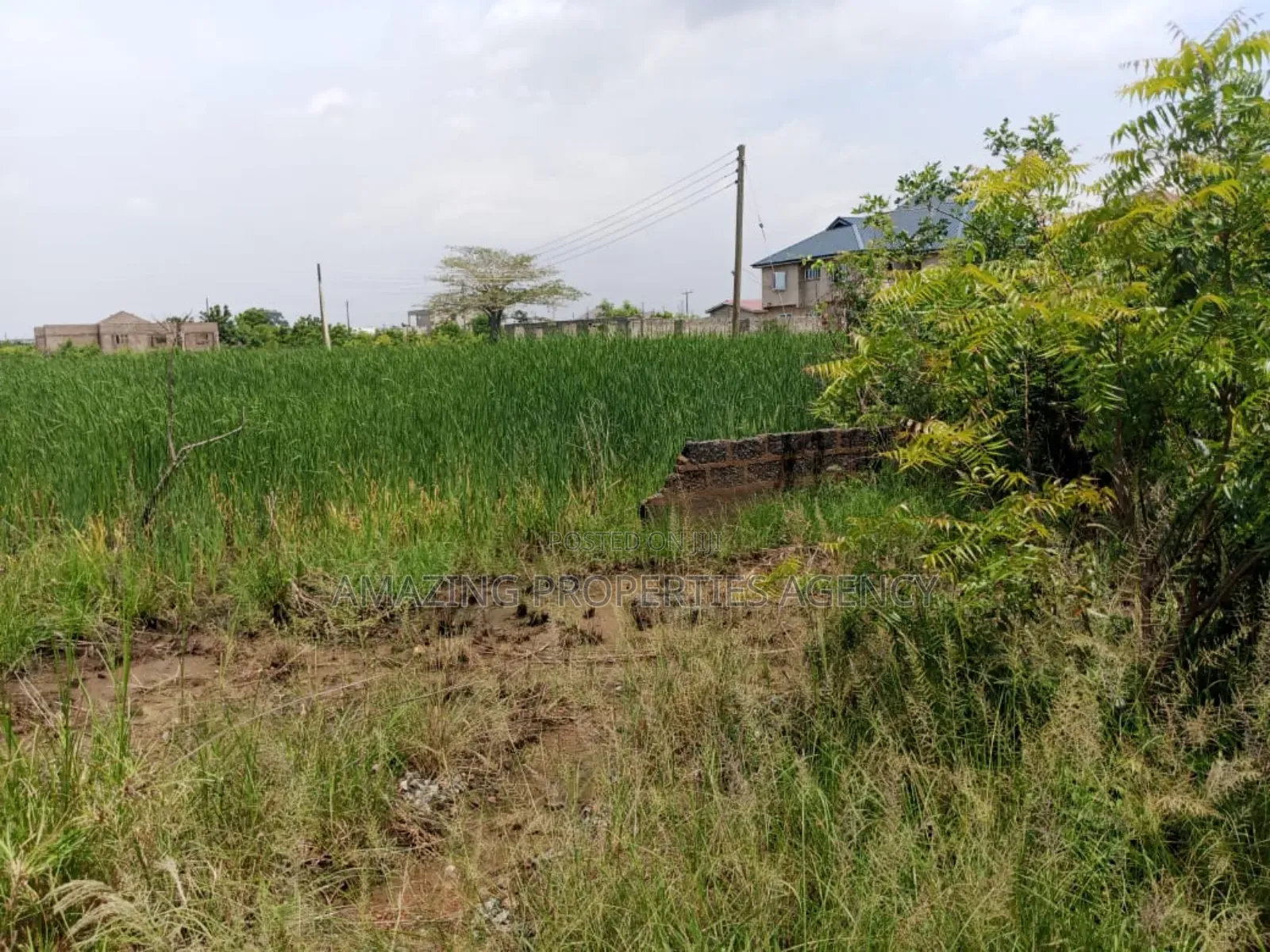 5 Acres of Land at Amasaman