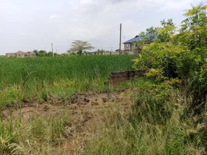 5 Acres of Land at Amasaman