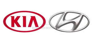 Kia and Hyundai Specialist