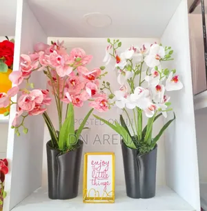 Potted Orchids in Trunk Vase