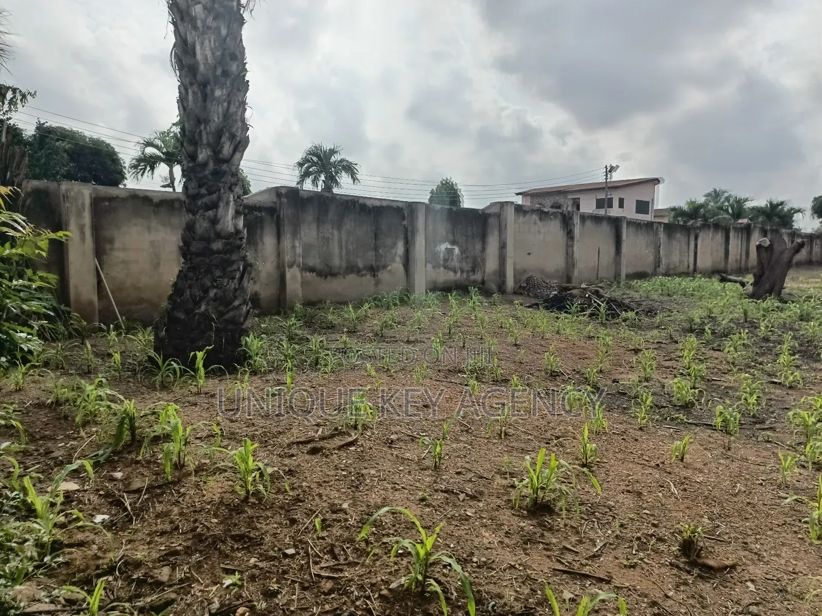 One Plot for Sale at East Legon Hills