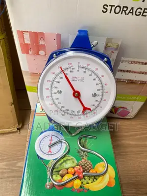 200kg Hanging Scale